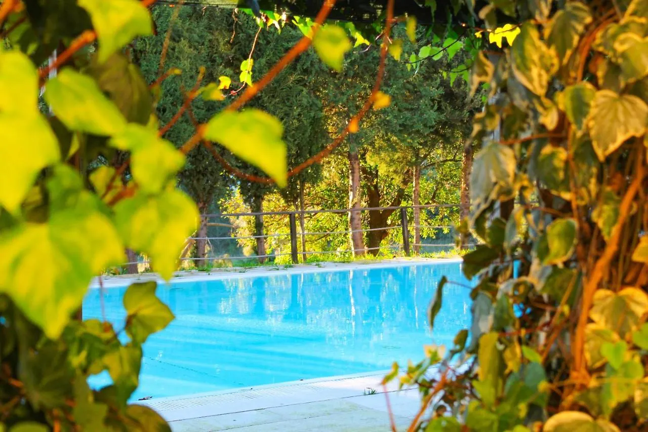 Campsite Coimbra Camping & Bungalows
